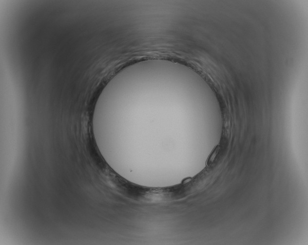 X0000112830231200908210945