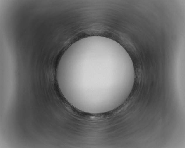 X0000112830232200908210945