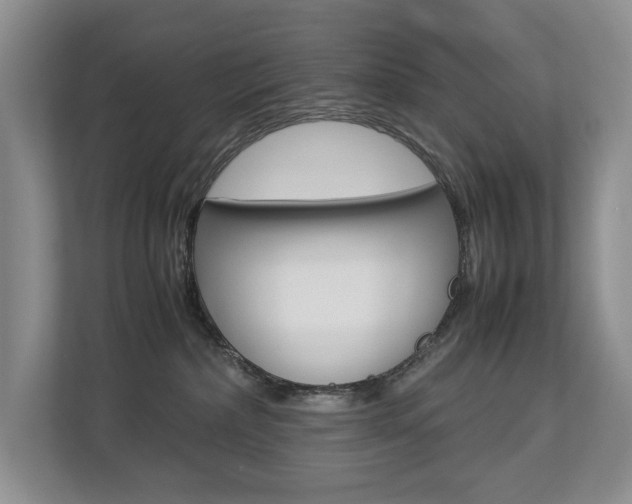 X0000112830236200908210945