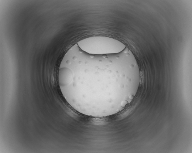 X0000112830238200908210945