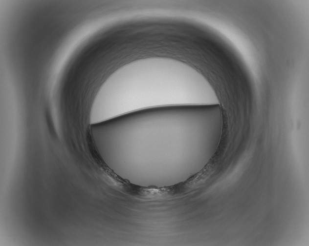 X0000112830239200908210945