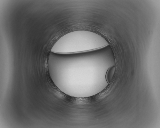 X0000112830240200908210945