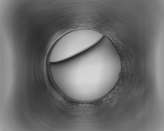 X0000112830242200908210944