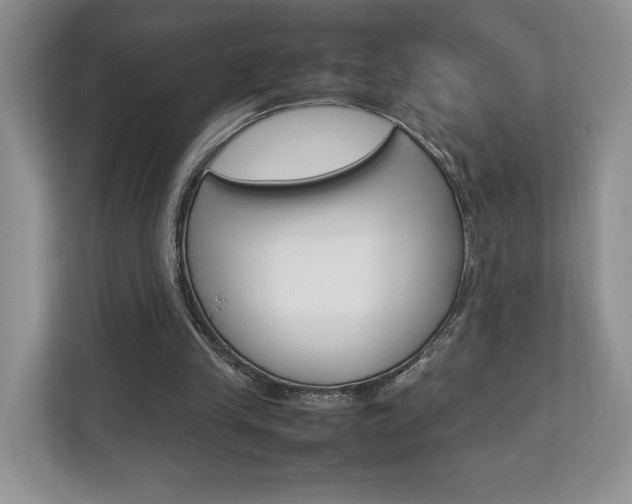 X0000112830245200908210944