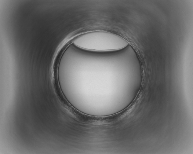 X0000112830246200908210944