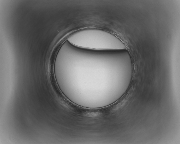 X0000112830247200908210944