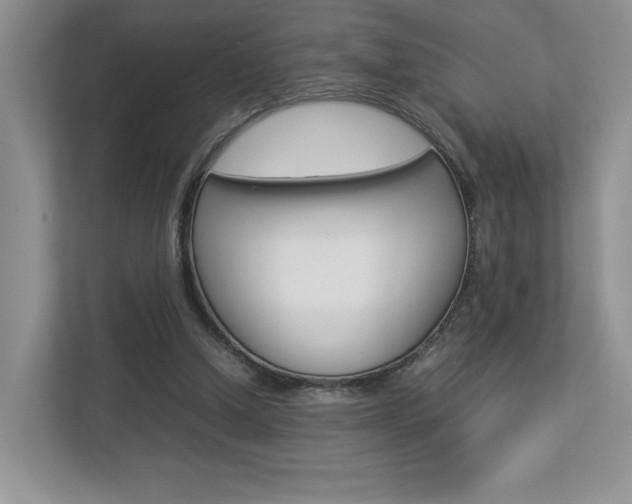 X0000112830250200908210944