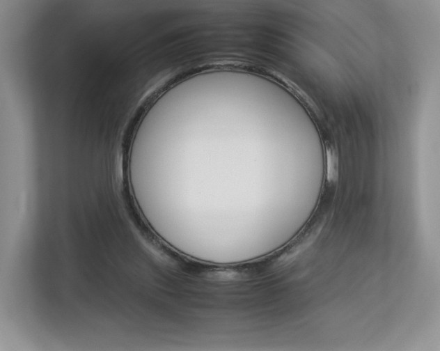X0000112830253200908210944