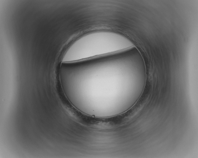X0000112830256200908210944