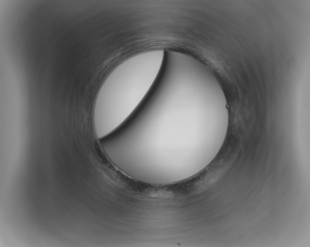 X0000112830258200908210944
