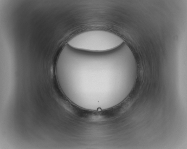 X0000112830262200908210944