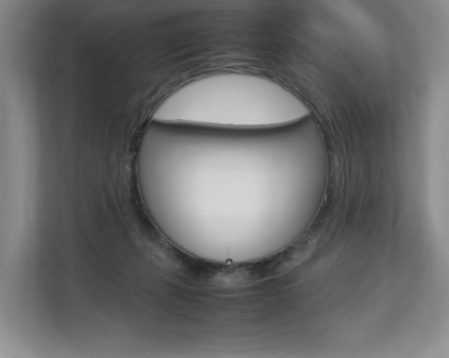 X0000112830271200908210945