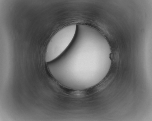 X0000112830273200908210945
