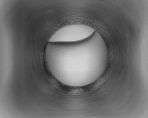 X0000112830274200908210945