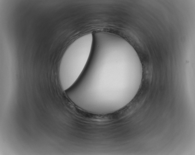 X0000112830275200908210945