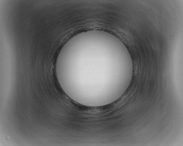 X0000112830279200908210945