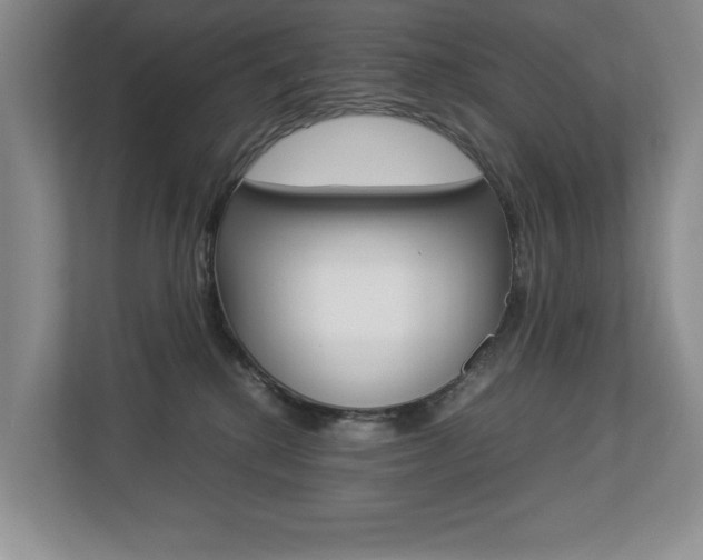 X0000112830280200908210945