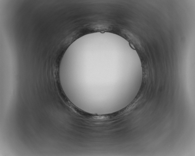 X0000112830281200908210945