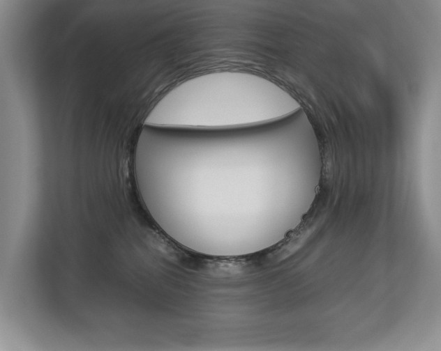 X0000112830282200908210945