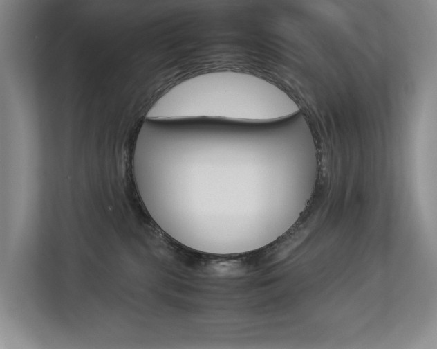 X0000112830283200908210945