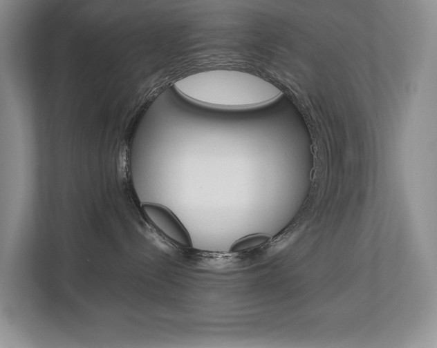 X0000112830288200908210945
