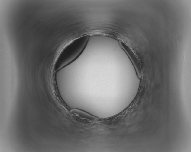 X0000112830289200908210944