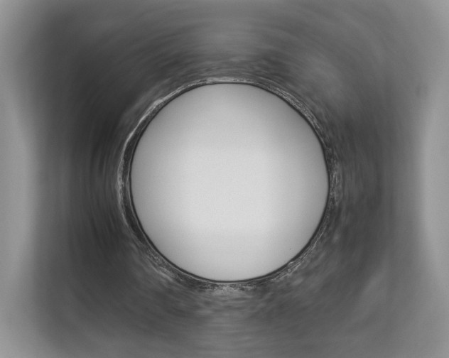 X0000112830290200908210944