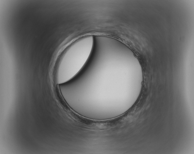 X0000112830295200908210944