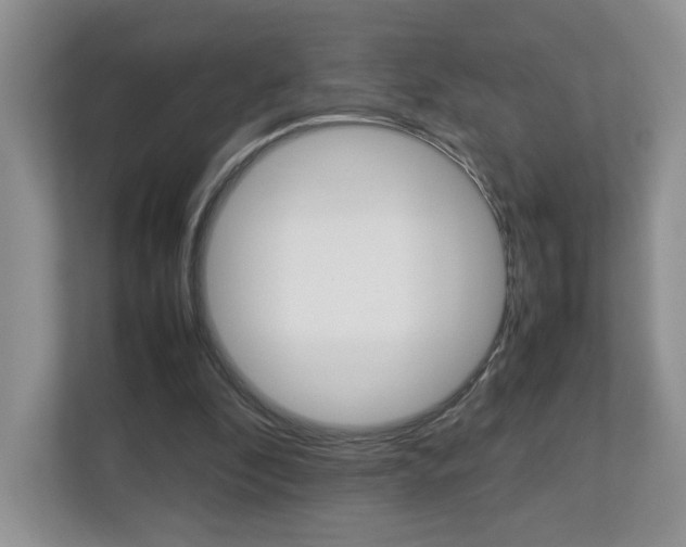 X0000112830296200908210944