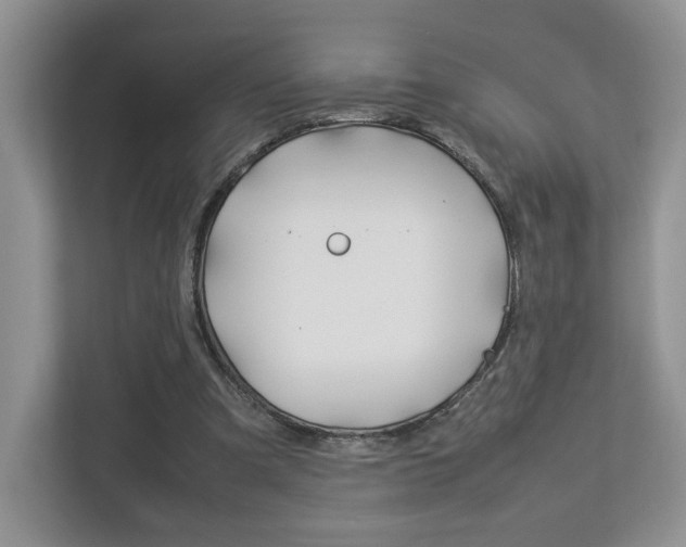 X0000112830297200908210944