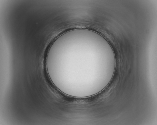 X0000112830299200908210944