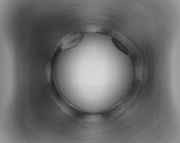 X0000112830304200908210944