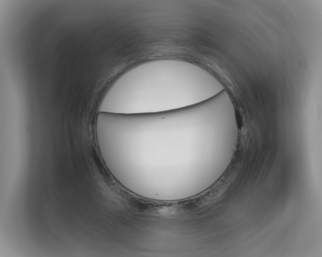 X0000112830306200908210944