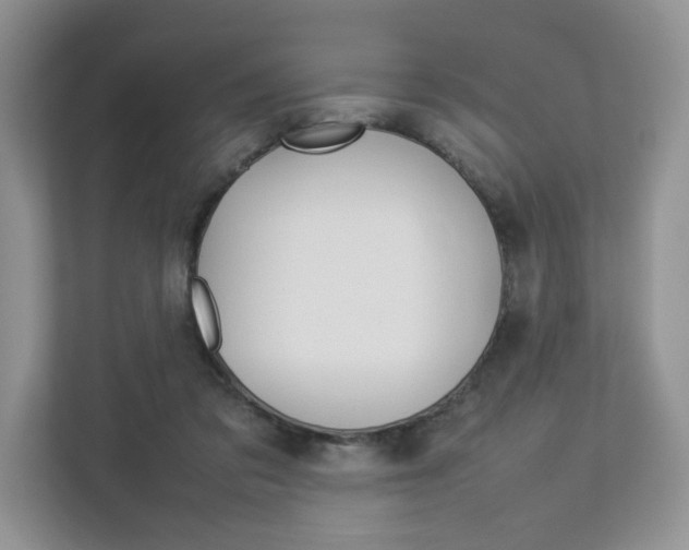 X0000112830309200908210944