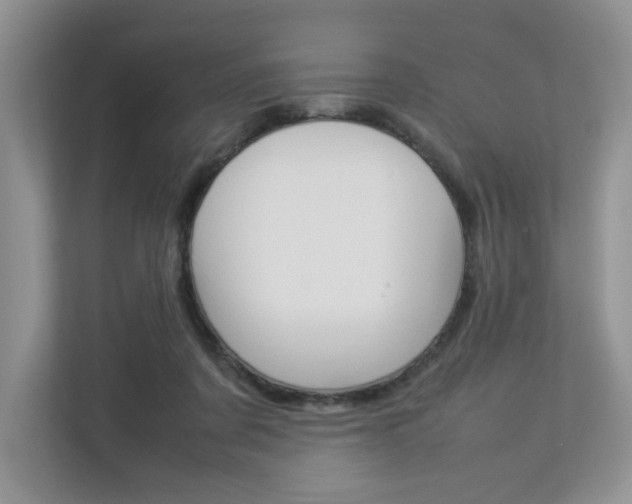 X0000112830311200908210944