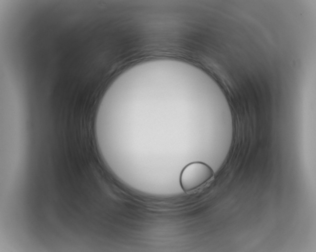 X0000112830312200908210944