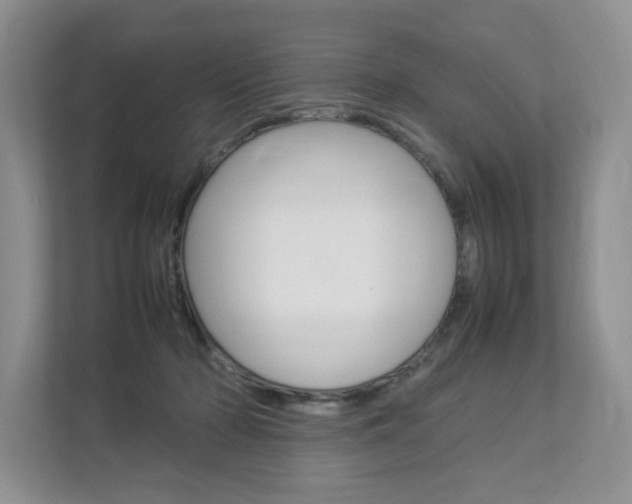 X0000112830318200908210944