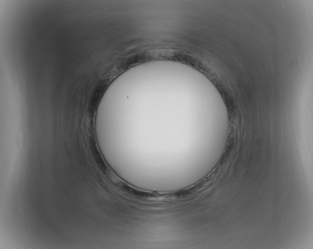 X0000112830323200908210944