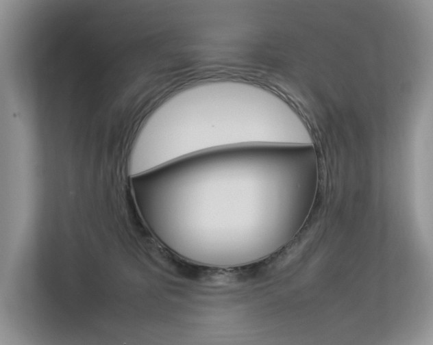 X0000112830325200908210944