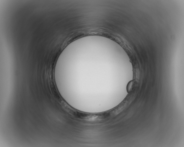 X0000112830326200908210944