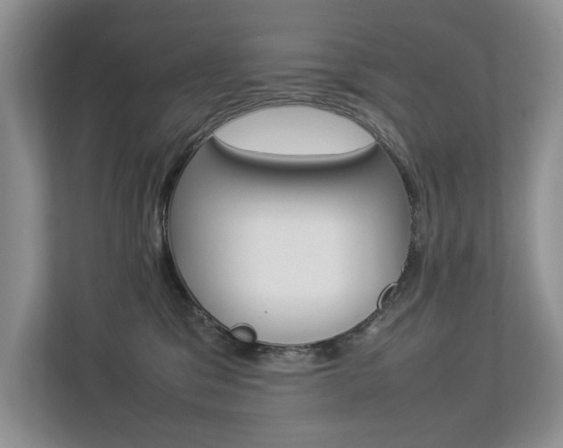 X0000112830329200908210944