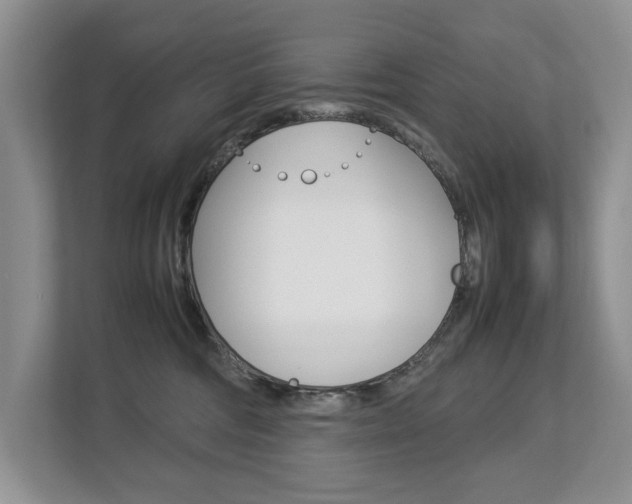 X0000112830330200908210944