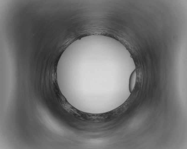 X0000112830334200908210944