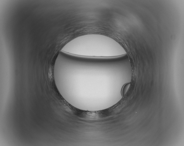 X0000112830335200908210944