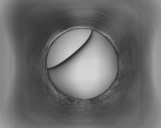 X0000112830337200908210943