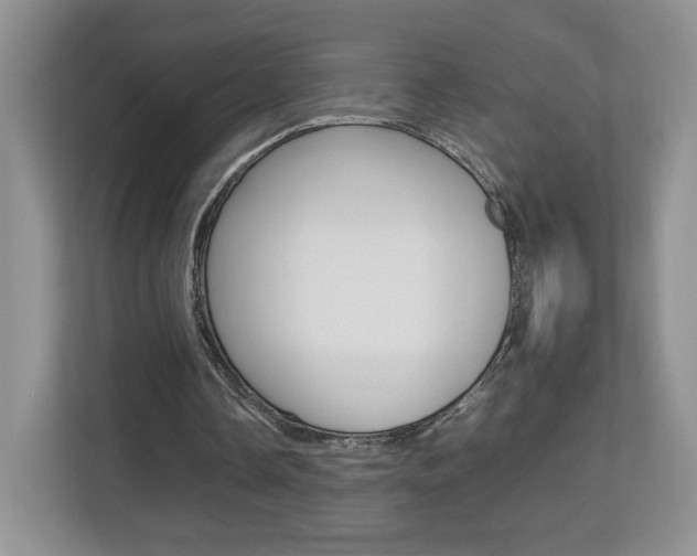 X0000112830338200908210943