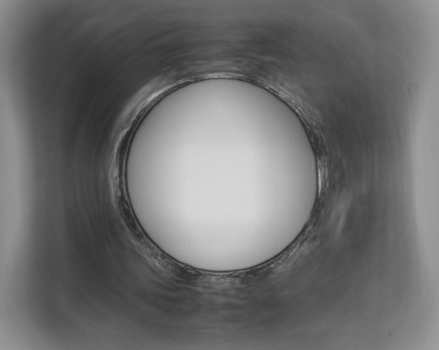 X0000112830339200908210943