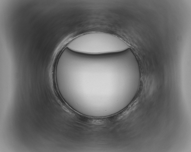 X0000112830341200908210943