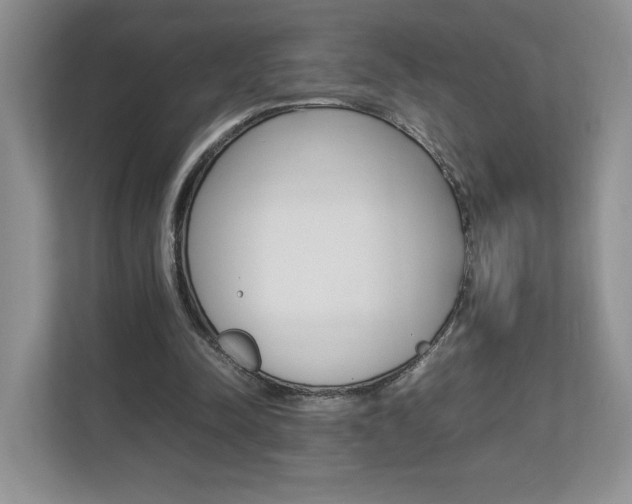 X0000112830342200908210943