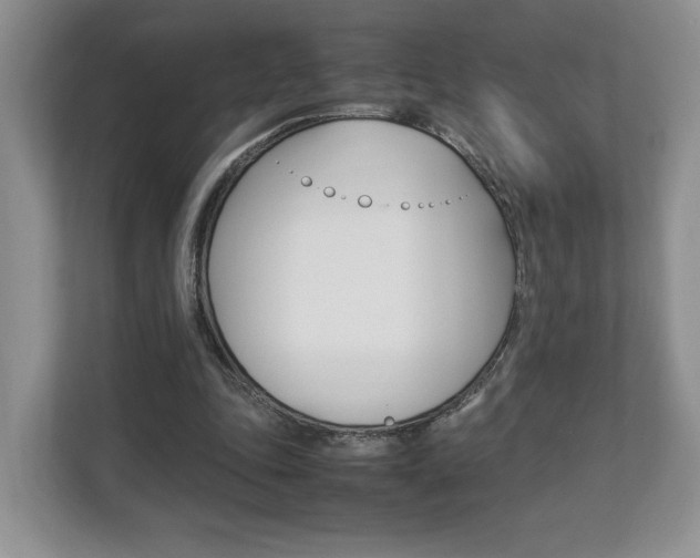 X0000112830343200908210943